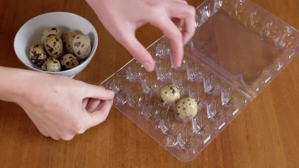 2015 Female Hands Taking Spotted Quail Egg Plastic Box Lays — 비디오