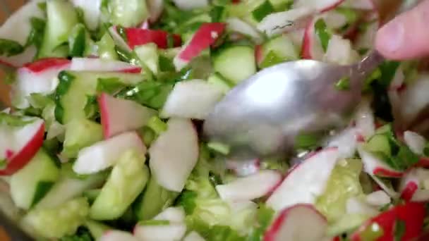 Chef Agitando Con Una Cuchara Ensalada Verduras Frescas Con Rábano — Vídeos de Stock