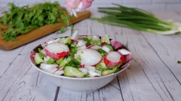 Χέρια Chef Sprinkles Αλάτι Μια Σαλάτα Λαχανικών Radish Αγγούρι Πράσινοι — Αρχείο Βίντεο