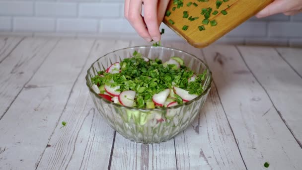 Шеф Sprinkles Parsley Fresh Vegetable Salad Radish Cucumber Greens Зблизька — стокове відео