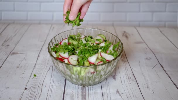 Séf Sprinkles Petrezselyem Friss Zöldséges Saláta Retekkel Uborkával Zöldséggel Közelkép — Stock videók