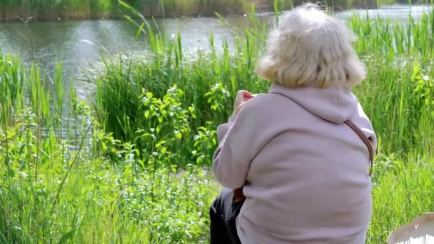 Задний Вид Пожилой Женщины Сидящей Бревне Смотрящей Речной Пейзаж Пенсионер — стоковое видео