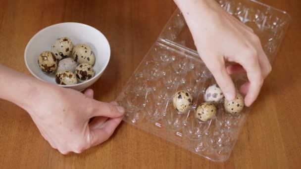 Vrouwelijke Handen Die Gevlekte Kwarteleitjes Uit Plastic Dozen Nemen Liggen — Stockvideo