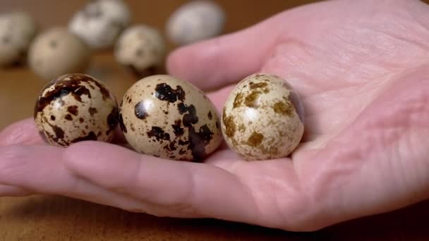 Kvinnlig Hand Håller Tre Vaktelägg Bakgrund Ett Bord Med Vaktelägg — Stockvideo