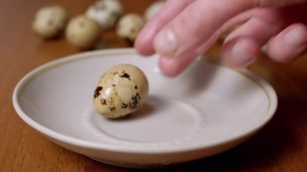 Female Hand Lays Three Quail Eggs Plate Examining Them Her — Stock Video