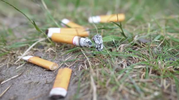Spousta Doutnajících Nedopalků Leží Písku Zelené Trávě Přírodě Spalování Cigaret — Stock video