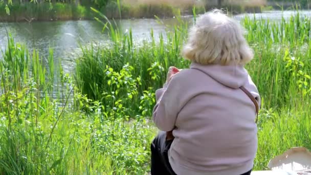 Οπίσθια Όψη Ηλικιωμένης Γυναίκας Που Κάθεται Ένα Κούτσουρο Κοιτάζοντας Ένα — Αρχείο Βίντεο