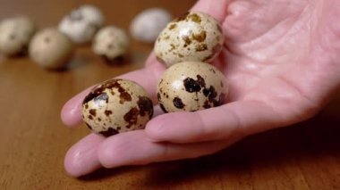 Dişi El Bıldırcın Yumurtalı Masa Arkasında Üç Bıldırcın Yumurtası Tutuyor. Yakın plan. Doğal, besleyici, besleyici organik yumurtalar. Küçük parlak, renkli, parlak, benekli yumurtalar. Protein. Sağlıklı yemek..