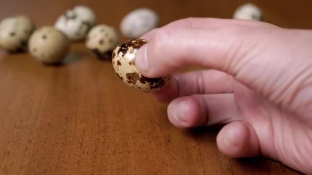 Female Hand Holds One Quail Egg Background Table Quail Eggs — Stock Video