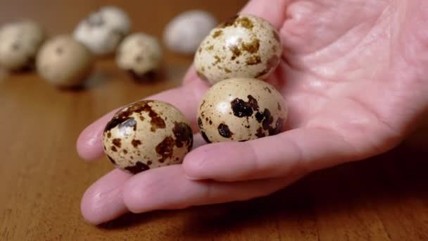 Θηλυκό Χέρι Κατέχει Τρία Αυγά Ορτυκιού Ένα Φόντο Ενός Πίνακα — Αρχείο Βίντεο