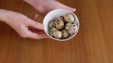 Kadın Elleri Benekli Bıldırcın Yumurtası ile Tabak Tutuyor, Gösteriyor, Dokunuyor. Yakın plan. Doğal, besleyici, besleyici organik yumurtalar. Bir sürü küçük renkli, parlak yumurta. Protein. Sağlıklı yiyecekler. 4K.