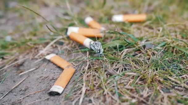 Eine Menge Glimmender Zigarettenstummel Liegen Auf Sand Grünen Gras Der — Stockvideo