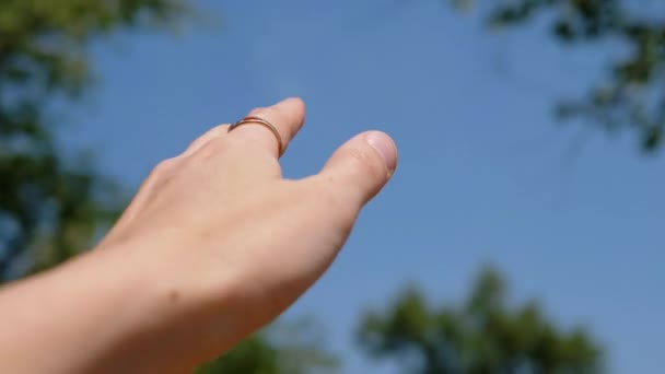 Mão Feminina Alcançando Céu Sol Árvores Natureza Natureza Colorida Livre — Vídeo de Stock