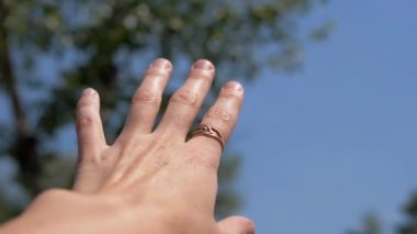 Kadın El Gökyüzüne, Güneş 'e, Doğanın Ağaçları' na uzanır. Renkli doğa, açık hava, açık hava. Hope, bir yolculuğun hayalini kur. Güneş ışığı, güneş ışığı. Güneş parlıyor. Hope, rica ediyorum. Gücün geri kazanılması Yaz zamanı.