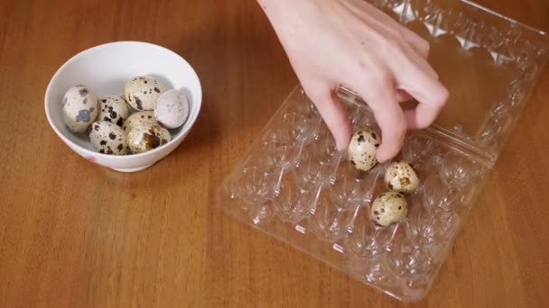 Жіночі Руки Вставляють Плямисті Яйця Пластикову Коробку Столі Крупним Планом — стокове відео