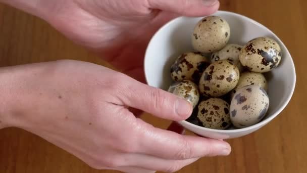 用斑点鹌鹑蛋握住盘子的雌性手 触摸它们 天然的 营养的 饮食的有机鸡蛋 很多色彩艳丽的小鸡蛋蛋白质 健康食品 — 图库视频影像