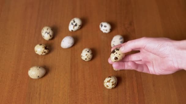 Female Hand Takes One Quail Egg Table Examines Hand Close — Video Stock