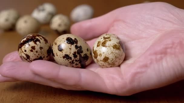 Woman Holds Three Quail Eggs Palm Background Table Quail Eggs — Stock Video