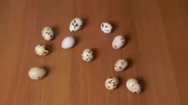 Female Hand Takes One Quail Egg Table Examines Hand Close — Stock Video