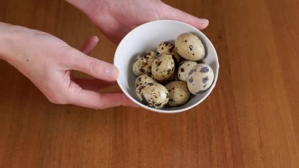 Female Hands Holding Plate Spotted Quail Eggs Showing Touching Them — Stock Video