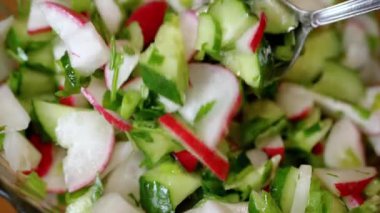 Şef Stirring yanında taze sebze salatası, turp, salatalık, yeşillik. Yakın plan. Renkli yeşil soğan, maydanoz, turp ve salatalık sebzesi karışımı, yağ. Vejetaryen diyeti. Sağlıklı yemek..