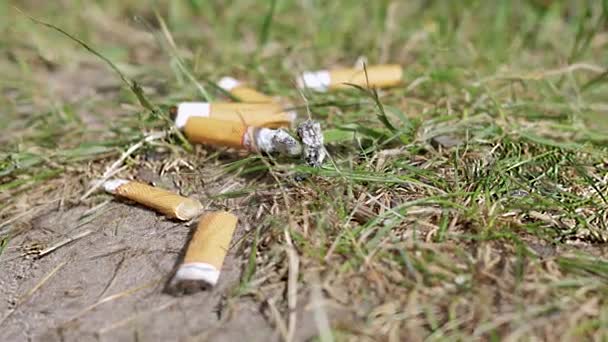 Hel Del Smoldande Cigarette Butts Lie Sand Den Gröna Gräset — Stockvideo