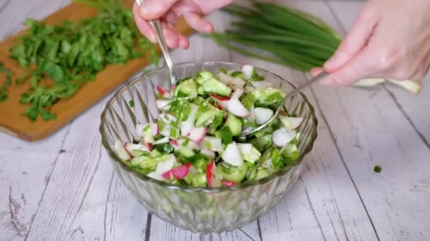Χέρια Chef Ανακατεύοντας Ένα Κουτάλι Μια Σαλάτα Λαχανικών Radish Αγγούρι — Αρχείο Βίντεο