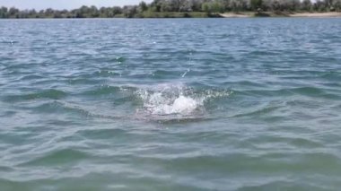 Mutlu Çocuk Yüzme, Su Sıçratma, Gün Işığında Sahilde Su Altında Dalma. Bir çocuk yüzmeyi ve suyun altına dalmayı öğrenir. Biraz su, zevk, neşe. Aile dinlenmesi, iyileşme, yaz tatili..