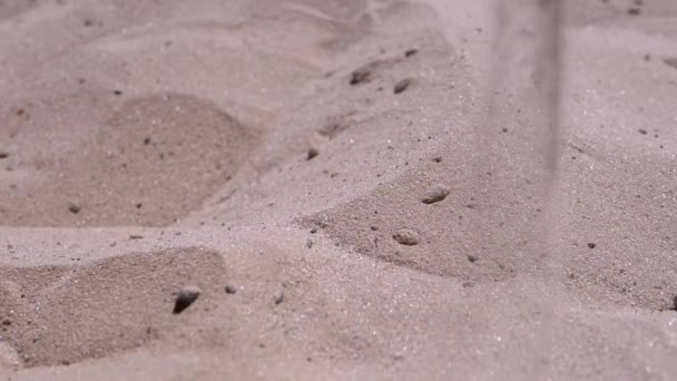 Female Hand Pours Sand Fingers Beach Rays Sunlight Fine Grains — Vídeos de Stock