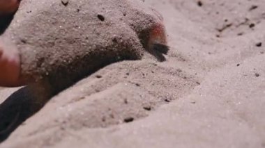 Female Hand Pours Sand Through Fingers on the Beach in the Rays of Sunlight. Fine grains of sand slowly fall on the hot golden sand in the sun glare at sunset. Rest on the sea coast, a seaside resort.