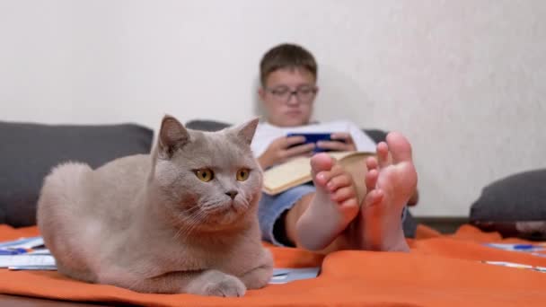 Fluffy Cat Resting Rug Bare Outstretched Feet Reading Child Blurred — Stock Video