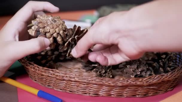 Moms Hands Help Child Make Craft Natural Materials Pine Cones — Vídeo de Stock