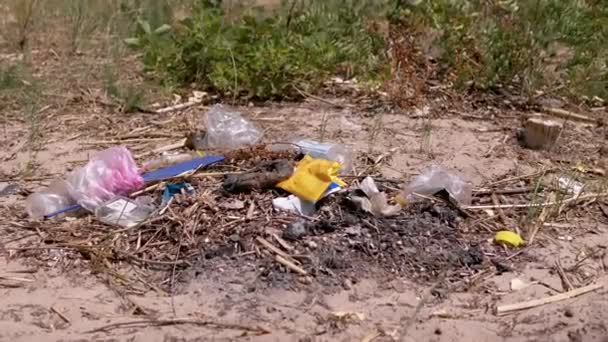 Відкинуті Сміття Пластикових Пляшок Пластикові Пакети Сонці Лісі Піску Сміттєва — стокове відео