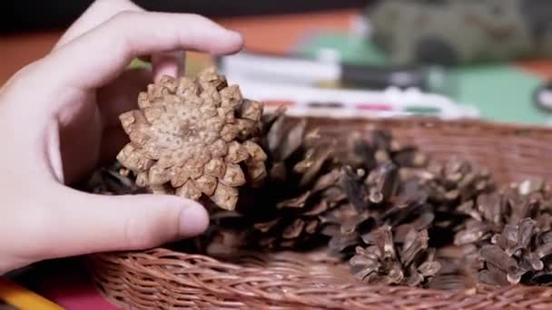 Barn Händer Roterande Tallkottar För Att Skapa Hantverk Naturmaterial Grabben — Stockvideo