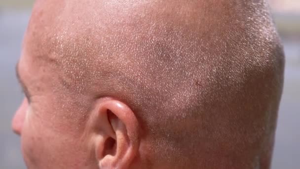 Erkek Kel Kafa Doğadaki Güneş Işığındaki Gri Saçlar Parıltıları Yan — Stok video