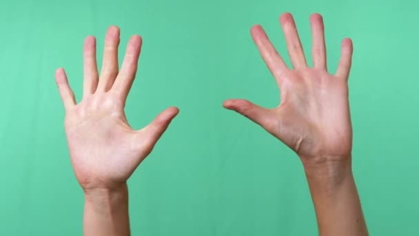 在空旷孤立的绿色色谱键背景下升起开放的手掌 两只手有十个手指 手的姿势10号 10号学习如何为孩子数数 教育的概念 — 图库视频影像