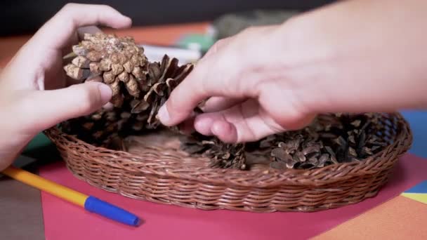 Moms Hands Help Child Make Craft Natural Materials Pine Cones — Video Stock