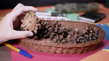 Doğal materyalden el sanatları yaratmak için Çam Kozalakları Döndüren Çocuk Eller. Çocuk tümseği inceliyor ve bir zanaat yaratmayı düşünüyor. Sanat malzemeleri. Hediyeler ve dekorasyonlar. Evde çocukların yaratıcılığı.