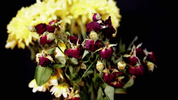 枯れた乾燥した赤いバラの花束 黒の背景に黄色の菊 ドライフラワーのいけばな 献身と永遠の愛の印です 記憶の概念 救いだ スローモーション — ストック動画
