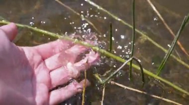 Female Hand Splashing in the Water, playing, creating Splashes in Sun at Sunset. Fingers touching surface of water. Drops are reflected in bright rays of sunlight. Concept of travel, enjoying nature.