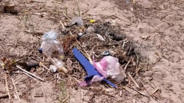 Discarded Garbage from Plastic Bottles, Plastic Bags in Sun in Forest on Sand. Garbage pit, dump, waste in nature in woods. A place for a campfire. Environmental pollution, environmental disaster.