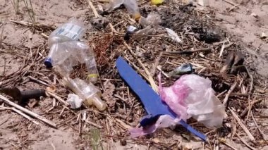 Discarded Garbage from Plastic Bottles, Plastic Bags in Sun in Forest on Sand. Garbage pit, dump, waste in nature in woods. A place for a campfire. Environmental pollution, environmental disaster.