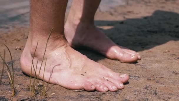 Male Tanned Legs Standing Wet Sand Water Rays Sunlight Nature — Vídeo de Stock