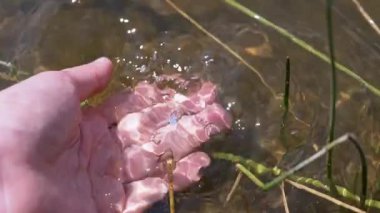 Female Hand Splashing in the Water, playing, creating Splashes in Sun at Sunset. Fingers touching surface of water. Drops are reflected in bright rays of sunlight. Concept of travel, enjoying nature.
