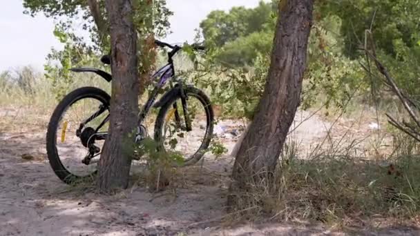 Modern Sports Bike Standing Tree Forest Windy Sunny Weather Lonely — Stok video