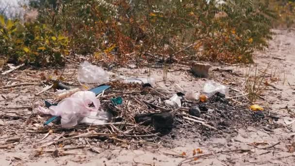 Выброшенный Мусор Пластиковых Бутылок Пластиковые Мешки Солнце Лесу Песке Мусорная — стоковое видео