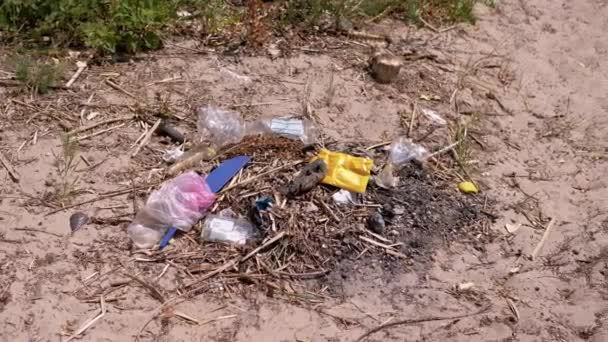 Discarded Garbage Plastic Bottles Plastic Bags Sun Forest Sand Garbage — Vídeo de Stock