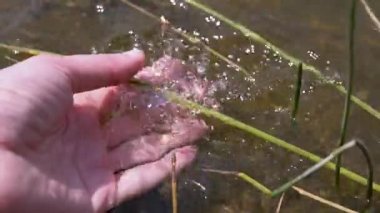 Female Hand Splashing in the Water, playing, creating Splashes in Sun at Sunset. Fingers touching surface of water. Drops are reflected in bright rays of sunlight. Concept of travel, enjoying nature.