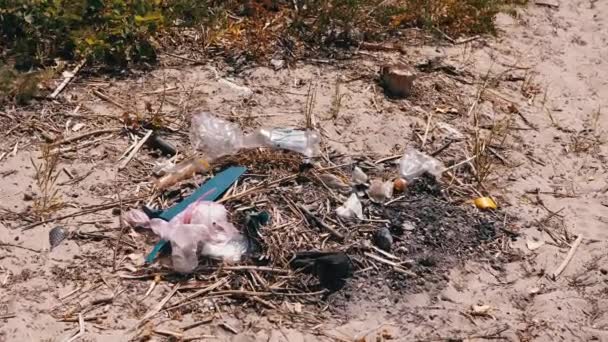 Discarded Garbage Plastic Bottles Plastic Bags Sun Forest Sand Garbage — Video