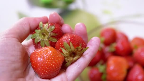 Female Hand Holding Rotating Three Ripe Red Strawberry Taken Bowl — 비디오